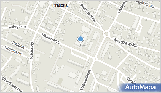 DPD Pickup Punkty, Mickiewicza 5, Praszka 46-320, godziny otwarcia