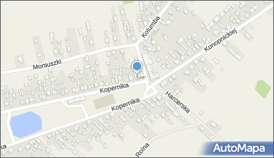 DPD Pickup Punkty, Kopernika 103 A, Strzałków 97-500, godziny otwarcia