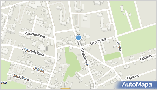 DPD Pickup Punkty, Reptowska 19, Bytom 41-923, godziny otwarcia