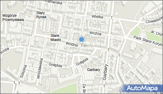 DPD Pickup Punkty, Wodna 22, Poznań 61-782, godziny otwarcia