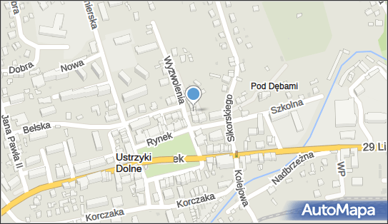 DPD Pickup Punkty, Wyzwolenia 2C, Ustrzyki Dolne 38-700, godziny otwarcia