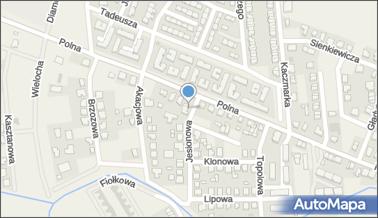 DPD Pickup Punkty, Jesionowa 2, Komorniki 62-052, godziny otwarcia