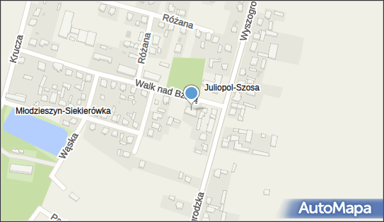 DPD Pickup Punkty, Walk Nad Bzurą 1, Młodzieszyn 96-512, godziny otwarcia