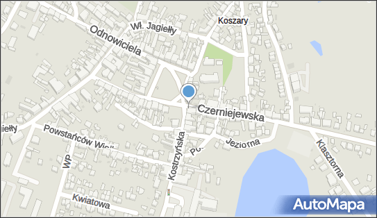 DPD Pickup Punkty, Kostrzyńska 1, Pobiedziska 62-010, godziny otwarcia