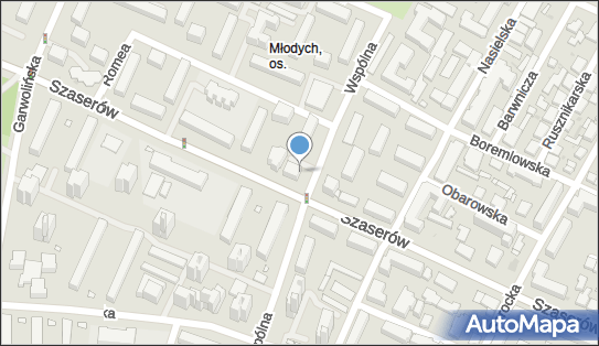 DPD Pickup Punkty, Wspólna Droga 21 lok. 2, Warszawa 04-345, godziny otwarcia