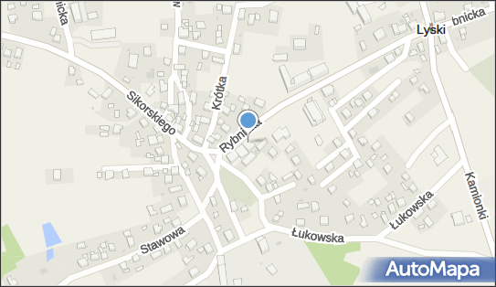 DPD Pickup Punkty, Rybnicka 2A, Lyski 44-295, godziny otwarcia