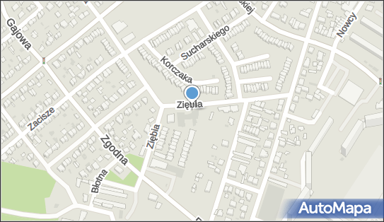 DPD Pickup Punkty, Ziębia 3B, Włocławek 87-800, godziny otwarcia