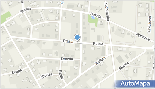 DPD Pickup Punkty, Ptasia 7A, Murowaniec 86-005, godziny otwarcia
