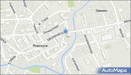 DPD Pickup Punkty, Kochanowskiego 1, Ropczyce 39-100, godziny otwarcia