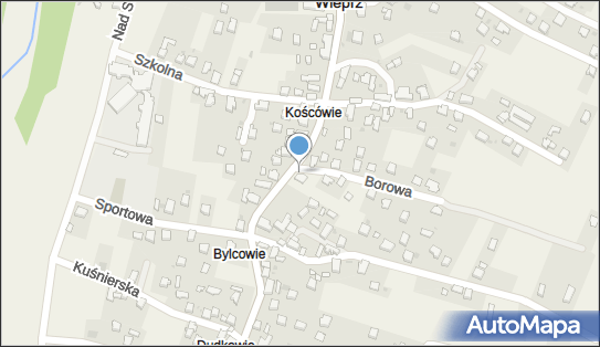 DPD Pickup Punkty, Borowa 1047, Wieprz 34-382, godziny otwarcia