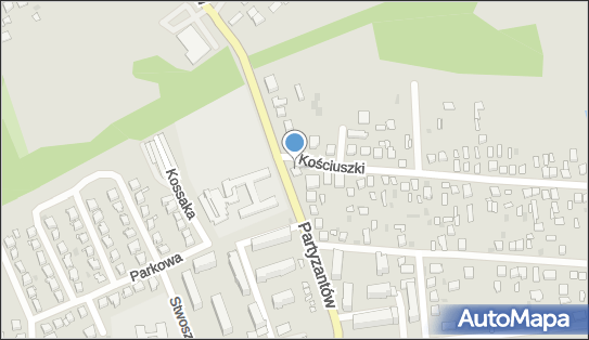 DPD Pickup Punkty, Partyzantów 45, Międzyrzec Podlaski 21-560, godziny otwarcia
