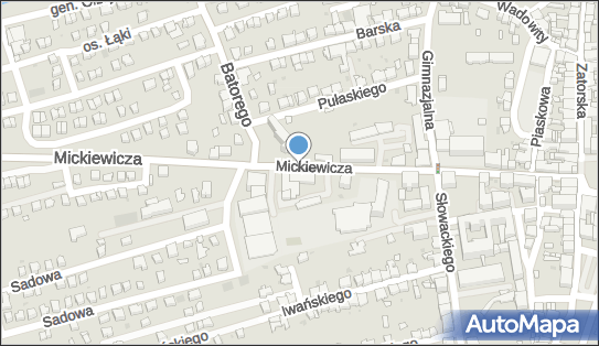 DPD Pickup Punkty, Mickiewicza 27, Wadowice 34-100, godziny otwarcia