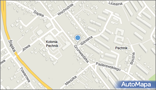 DPD Pickup Punkty, Grunwaldzka 132, Jaworzno 43-600, godziny otwarcia