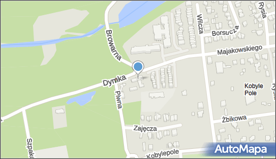 DPD Pickup Punkty, Dymka 304, Poznań 61-066, godziny otwarcia
