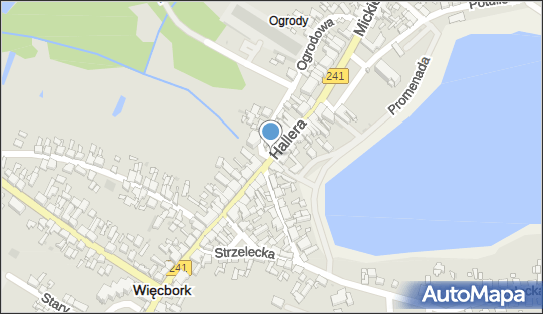 DPD Pickup Punkty, Hallera 13A, Więcbork 89-410, godziny otwarcia