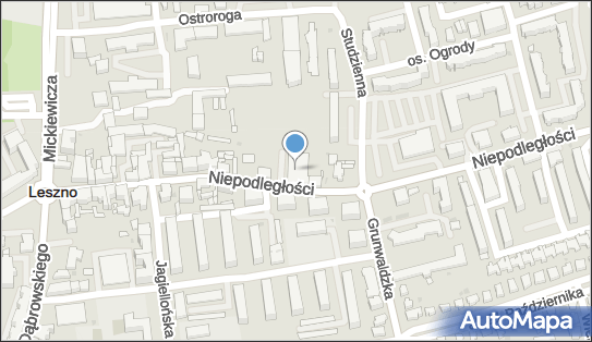 DPD Pickup Punkty, Niepodległości 63, Leszno 64-100, godziny otwarcia