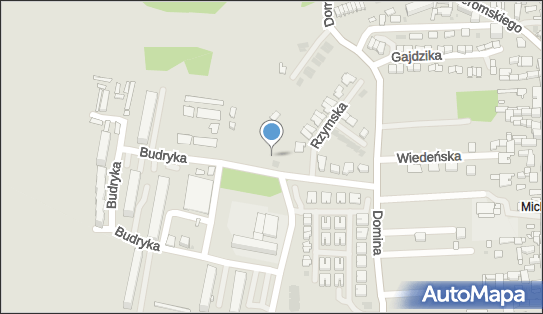 DPD Pickup Punkty, Budryka 1- automat paczkowy 41-100, godziny otwarcia