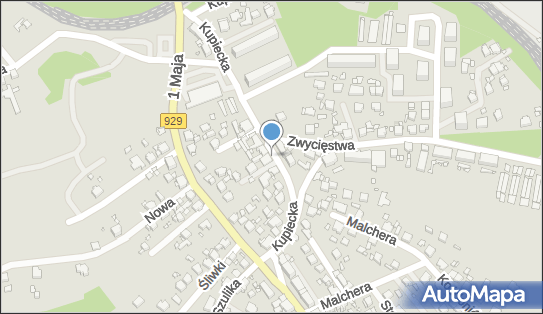 DPD Pickup Punkty, Kupiecka 13, Rybnik 44-200, godziny otwarcia