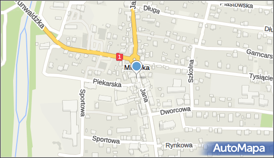 DPD Pickup Punkty, J. Kazimierza 118, Milówka 34-360, godziny otwarcia