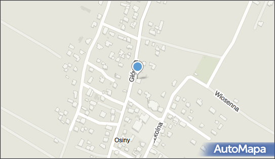 DPD Pickup Punkty, Główna 85, Żory 44-244, godziny otwarcia