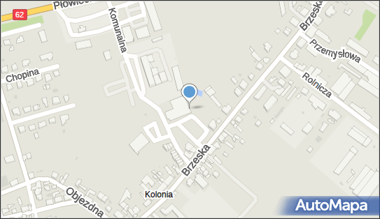 DPD Pickup Punkty, Brzeska 25 - automat paczkowy, Radziejów 88-200, godziny otwarcia
