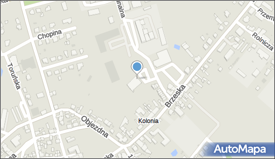 DPD Pickup Punkty, Komunalna 19 - automat paczkowy, Radziejów 88-200, godziny otwarcia