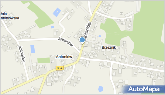 DPD Pickup Punkty, Antoniów 99, Radomyśl nad Sanem 37-455, godziny otwarcia