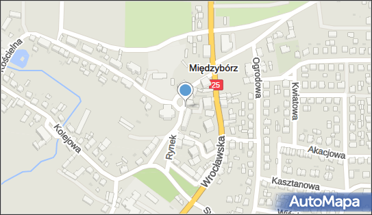 DPD Pickup Punkty, Rynek 14-16 - automat paczkowy, Międzybórz 56-513, godziny otwarcia