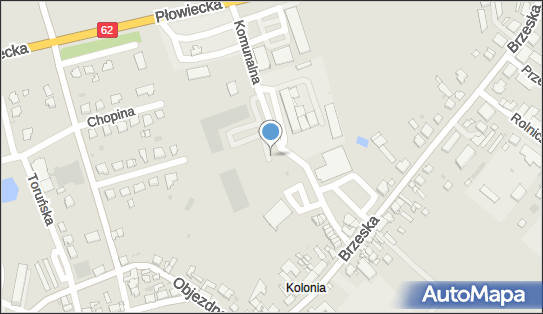 DPD Pickup Punkty, Komunalna 21B, Radziejów 88-200, godziny otwarcia