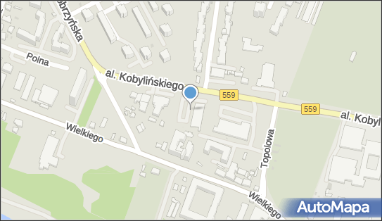 DPD Pickup Punkty, Al. Kobylińskiego 31 - automat paczkowy, Płock 09-400, godziny otwarcia