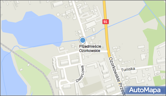 DPD Pickup Punkty, Ozorkowska 24, Łęczyca 99-100, godziny otwarcia