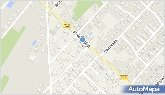 DPD Pickup Punkty, Rokicińska 150, Andrespol 95-020, godziny otwarcia