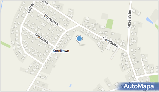 DPD Pickup Punkty, Karolkowa 7A, Wilczyn 62-550, godziny otwarcia