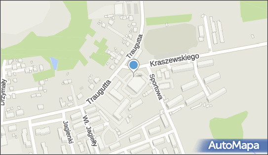 DPD Pickup Punkty, Romualda Traugutta 52, Pszów 44-370, godziny otwarcia