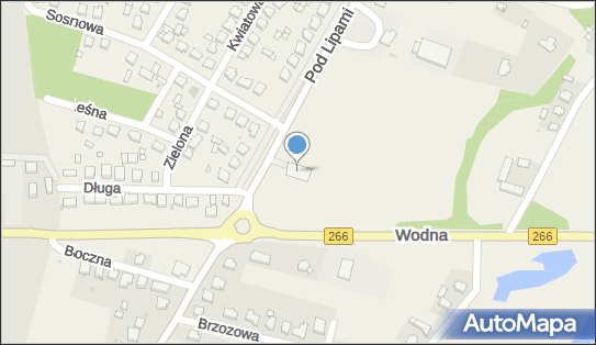 DPD Pickup Punkty, LICHEŃSKA 66, Wola Podłężna 62-510, godziny otwarcia
