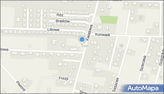 DPD Pickup Punkty, Kwiatowa 26, Nowe Bielice 76-039, godziny otwarcia