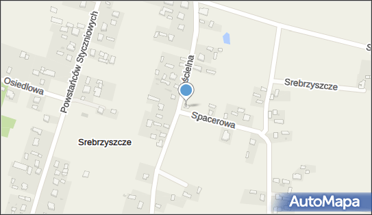DPD Pickup Punkty, SPACEROWA 12, Srebrzyszcze 22-100, godziny otwarcia