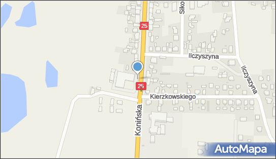 DPD Pickup Punkty, Konińska 26B- automat paczkowy, Skulsk 62-560, godziny otwarcia