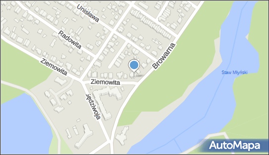 DPD Pickup Punkty, Ziemowita 75, Poznań 61-063, godziny otwarcia