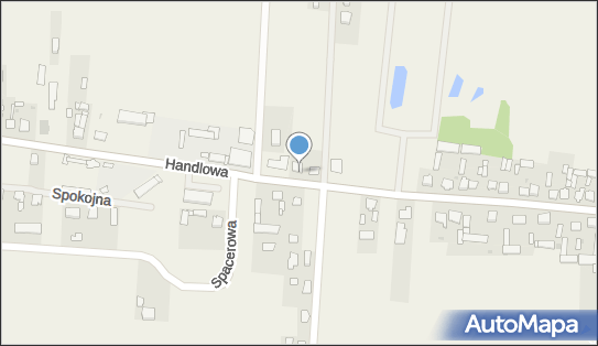 DPD Pickup Punkty, Handlowa 2A, Niegów 07-230, godziny otwarcia