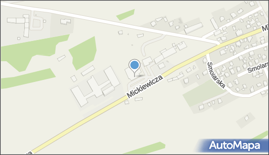 DPD Pickup Punkty, Mickiewicza 1B- automat paczkowy, Żołynia 37-110, godziny otwarcia