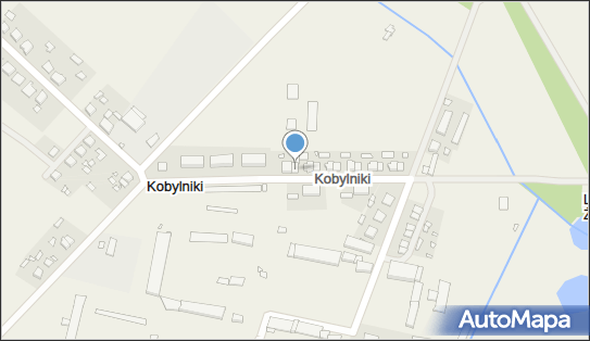 DPD Pickup Punkty, Kobylniki 13, Obrzycko 64-520, godziny otwarcia