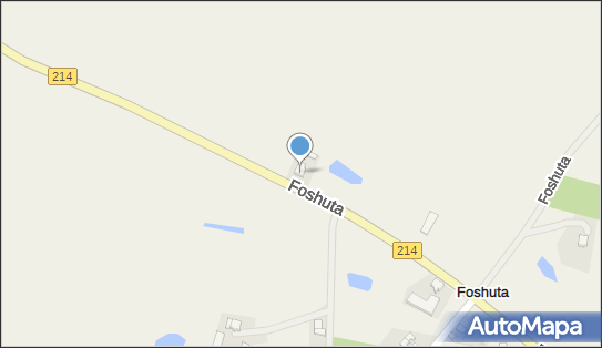 DPD Pickup Punkty, Foshuta 9a, Foshuta 83-430, godziny otwarcia