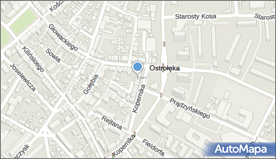 DPD Pickup Punkty, Mikołaja Kopernika 4a, Ostrołęka 07-410, godziny otwarcia