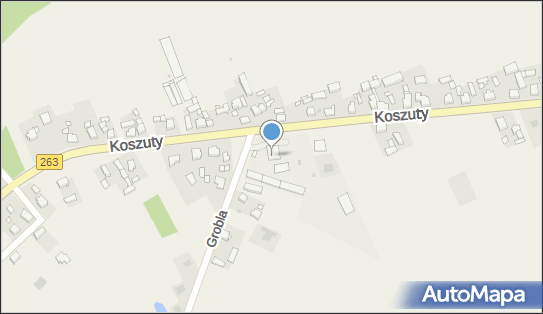 DPD Pickup Punkty, KOSZUTY 48, Słupca 62-400, godziny otwarcia