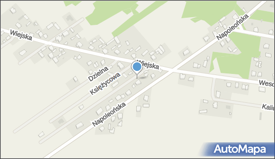 DPD Pickup Punkty, Szkolna 1, Zabrodzie 07-230, godziny otwarcia
