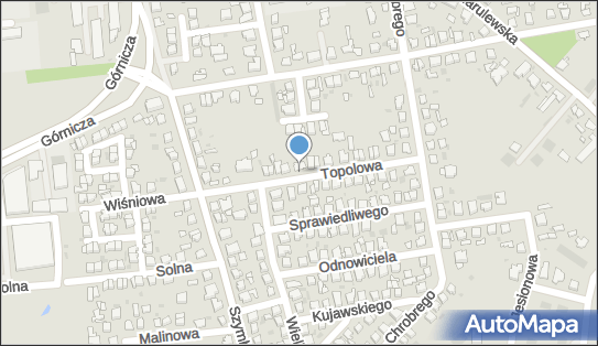DPD Pickup Punkty, TOPOLOWA 7a, Inowrocław 88-100, godziny otwarcia