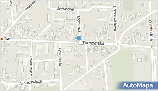 DPD Pickup Punkty, Tarczyńska 30A, Mszczonów 96-320, godziny otwarcia