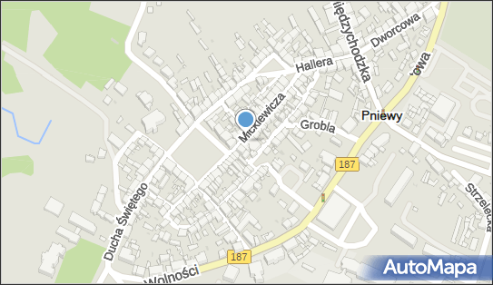 DPD Pickup Punkty, Mickiewicza 14 - automat paczkowy, Pniewy 62-045, godziny otwarcia