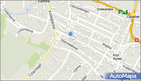 DPD Pickup Punkty, SZEROKA 37, Opatów 27-500, godziny otwarcia